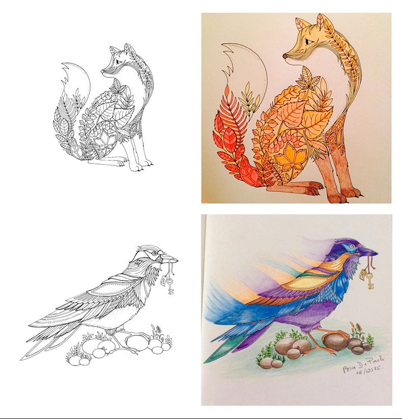 Enchanted Forest: An Inky Quest and Coloring book