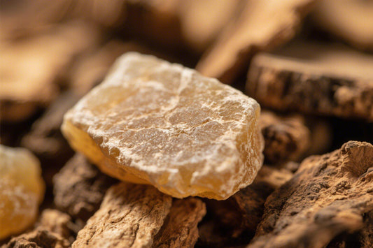 Benzoin: Bridging Ancient Chinese Medicine and Modern Wellness