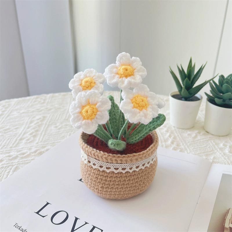 Little_Daisy