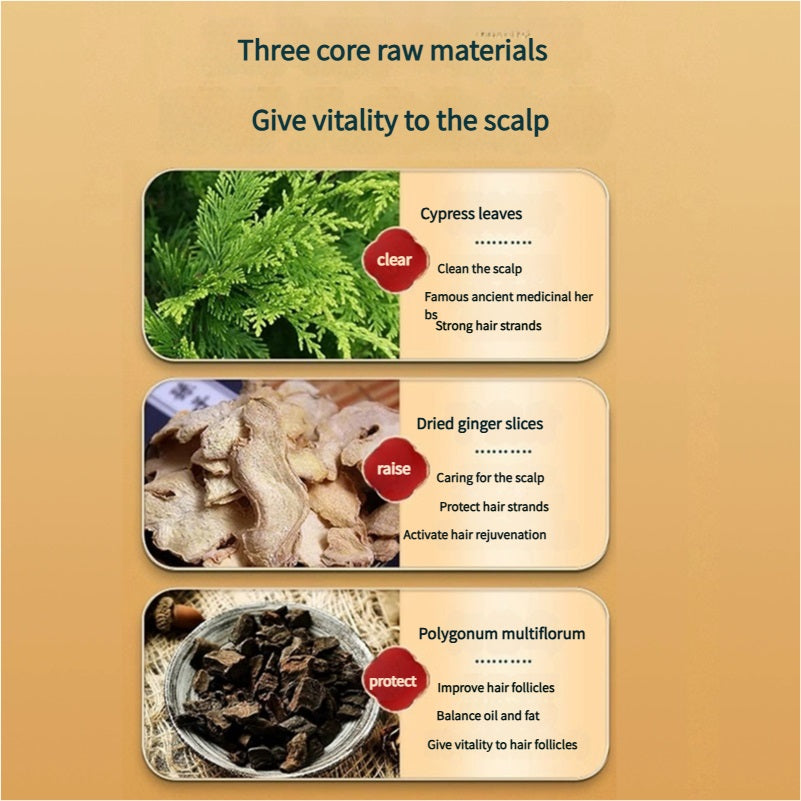 A picture introducing three core raw materials (cypress leaves, dried ginger slices, polygonum multiflorum) for giving vitality to the scalp, with their functions listed.